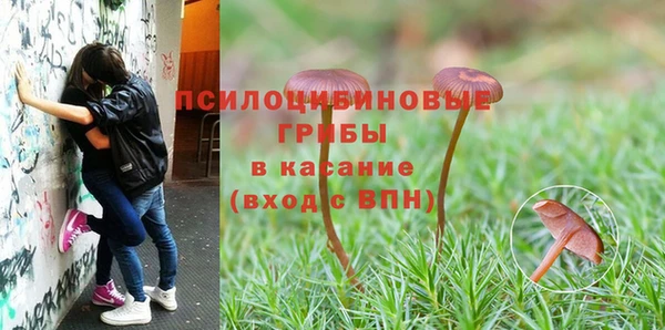 СК Каменск-Шахтинский