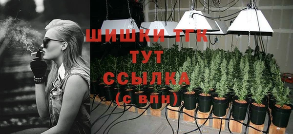 mix Каменногорск
