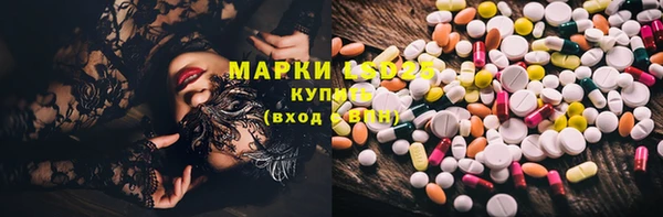 дурь Каменка
